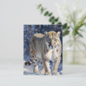 スノーレオパード勉強D -油 シーズンカード (スタンド正面)