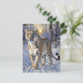 スノーレオパード勉強E シーズンカード (スタンド正面)