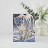 スノーレオパード勉強F シーズンカード (スタンド正面)