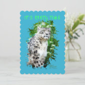 スノーレパードの招待状 招待状 (スタンド正面)