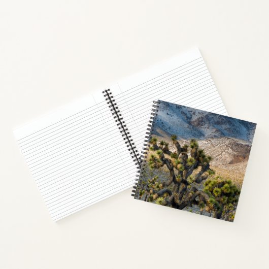 スノー・イン・デスバレー ノートブック (内部)