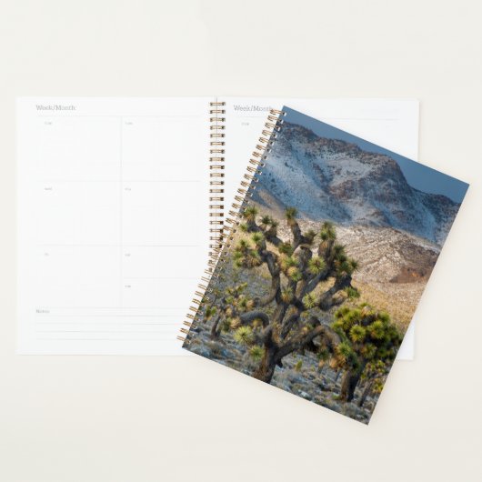 スノー・イン・デスバレー プランナー手帳 (ディスプレー)