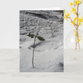 「スノー・スプラウト」クリスマスカード カード (黄色い花)