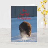 スノー!忘れ!私は、羊、屋内の滞在 カード (黄色い花)