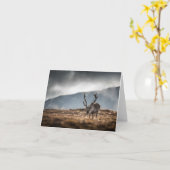 スバルバードトナカイ自然写真 カード (黄色い花)