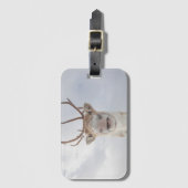 スバルバードトナカイ自然写真 ラゲッジタグ (正面縦)