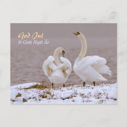 スバンパーi nysne CC0804ジュルハリン ポストカード (正面)