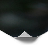 スパイするベンガル猫 ポスター (角)