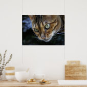 スパイするベンガル猫 ポスター (キッチン)