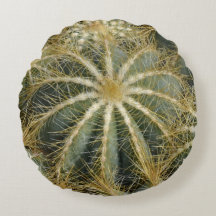 スパイキーナチュラルグリーンサボテン