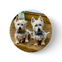 スパイクおよび北極