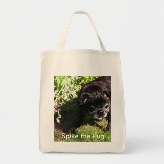 スパイクのバッグ トートバッグ (正面)