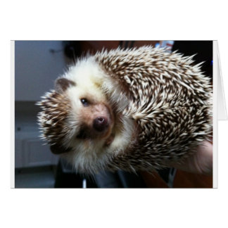 スパイクのボール