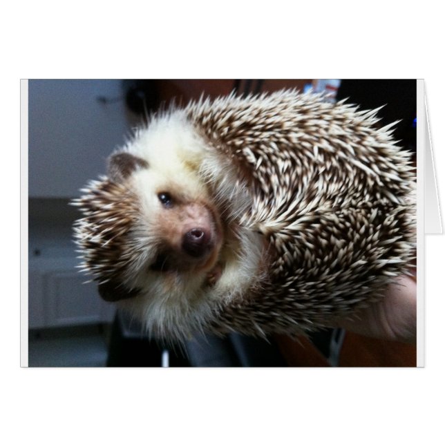 スパイクのボール (正面横)