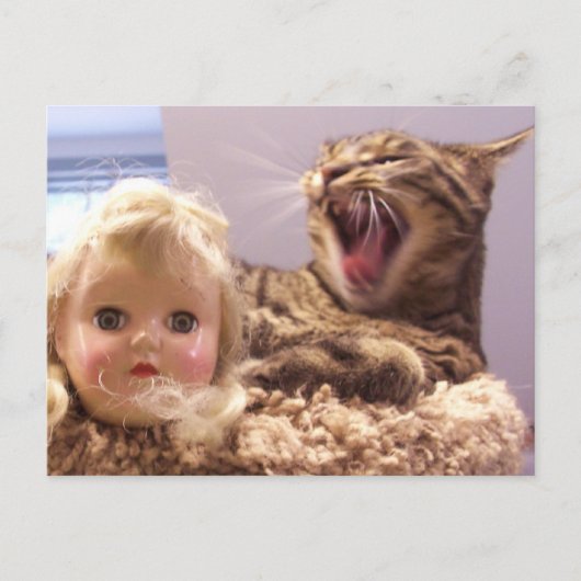 スパイクは人形が嫌いだ ポストカード (正面)