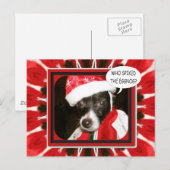 スパイクエッグノッグ犬 ポストカード (正面/裏面)