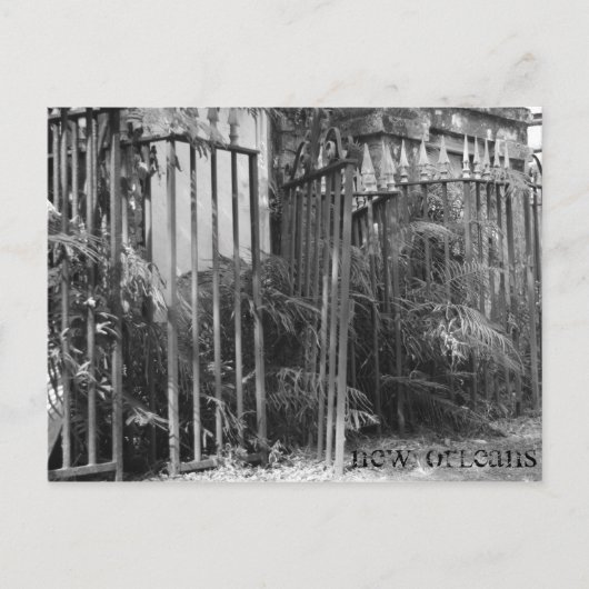 スパイクフェンス ポストカード (正面)