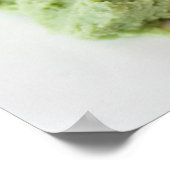 スパイシーなカニ寿司 ポスター (角)