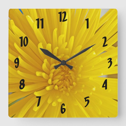 スパイシーイエローダリア写真 スクエア壁時計 (正面)