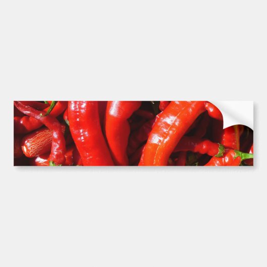 スパイシー! バンパーステッカー (正面)