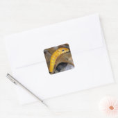 スパイスブッシュアゲハチョウキャタピラースクエアシール スクエアシール (封筒)