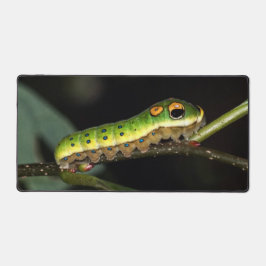 スパイスブッシュアゲハチョウキャタピラー デスクマット