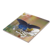 スパイスブッシュアゲハチョウ タイル (側面)