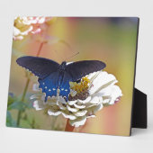 スパイスブッシュアゲハチョウ フォトプラーク (側面)