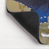 スパイスブッシュアゲハチョウ マウスパッド (コーナー)