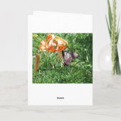 スパイスブッシュアゲハチョウ/日々の奇跡 カード (裏面)