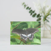 スパイスブッシュ葉書 ポストカード (スタンド正面)