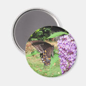 スパイスブッシュ蝶～磁石 マグネット (正面/裏面)