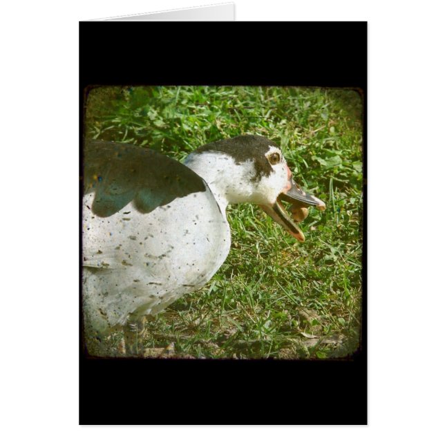 スパイス食べア・アコーン (正面)