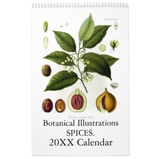 スパイス2015 カレンダー (カバー)