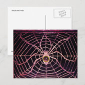 スパイダーとくもの巣ピンクパープルアメジストブラック ポストカード (正面/裏面)