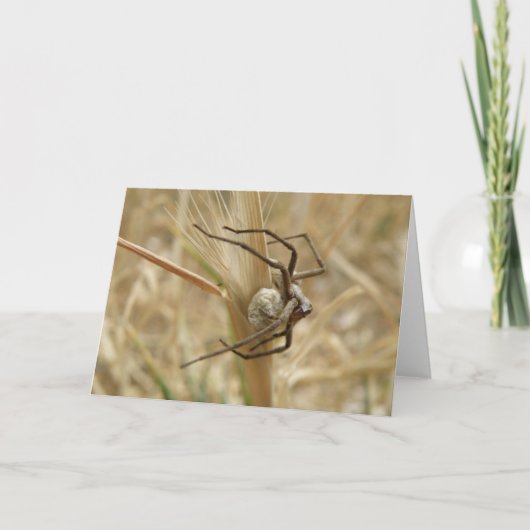 スパイダーと卵の嚢グリーティングカード カード (正面)