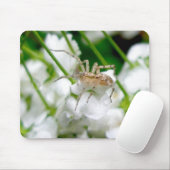 スパイダーアラネウスマウスパッド マウスパッド (マウス)