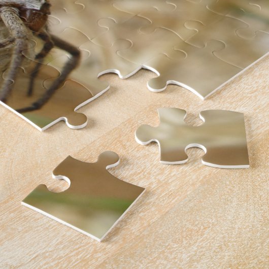 スパイダーアンドエッグサックパズル ジグソーパズル (側面)