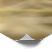 スパイダーアンドエッグサックプリント ポスター (角)