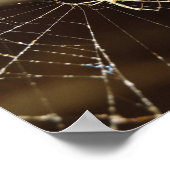 スパイダーインくもの巣 ポスター (角)