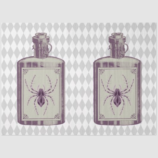 スパイダーウィッチシリーズデザイン24 薄葉紙 (正面)