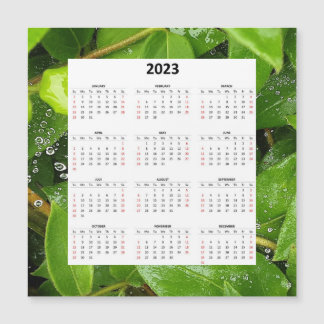 スパイダーウェブ2023磁気カレンダー上の雨