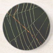 スパイダーウェブ コースター (正面)