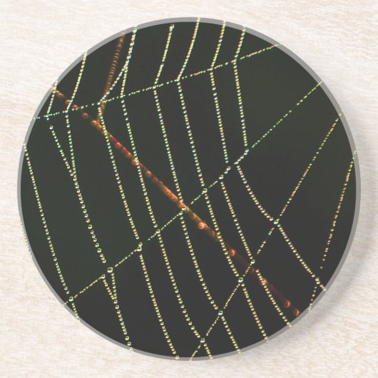 スパイダーウェブ コースター (正面)