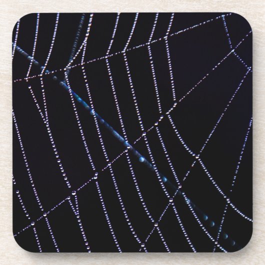 スパイダーウェブ コースター (正面)