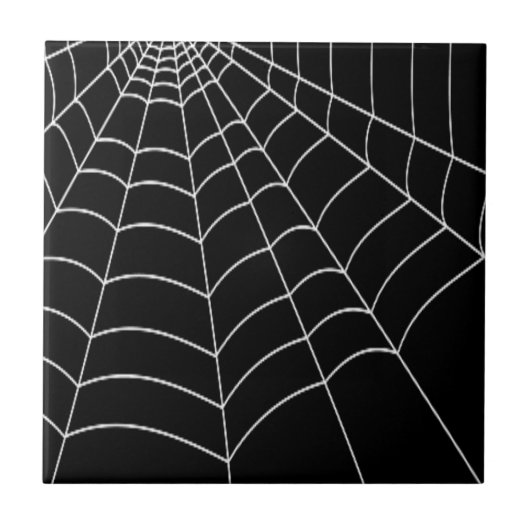 スパイダーウェブ タイル (正面)