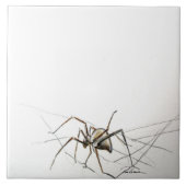 スパイダーウェブ タイル (正面)