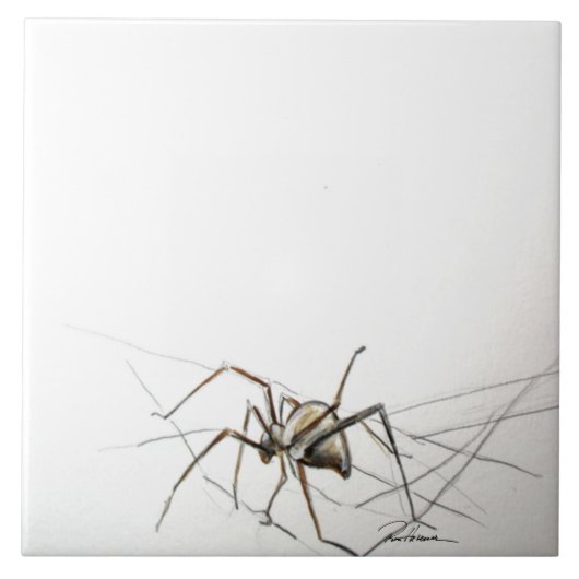 スパイダーウェブ タイル (正面)