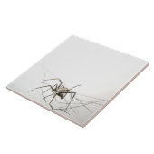 スパイダーウェブ タイル (側面)