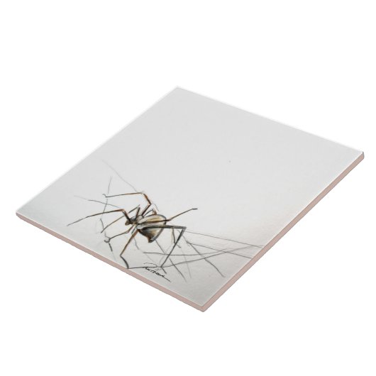 スパイダーウェブ タイル (側面)